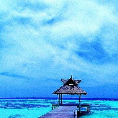 6686体育手机app下载