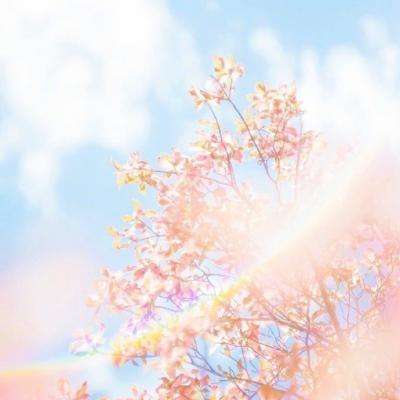 娱乐宝官网手机app下载