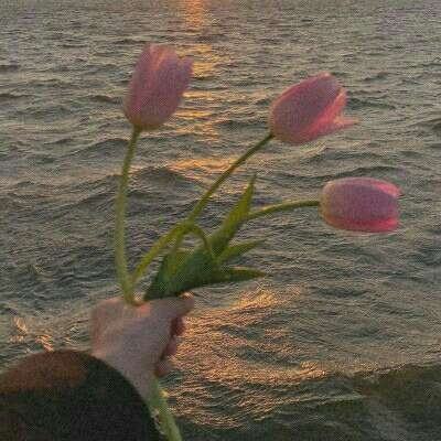 上下分的捕鱼app下载手机版