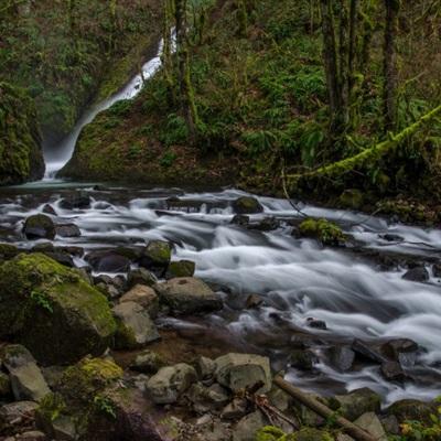 安博体育的最新版本截图